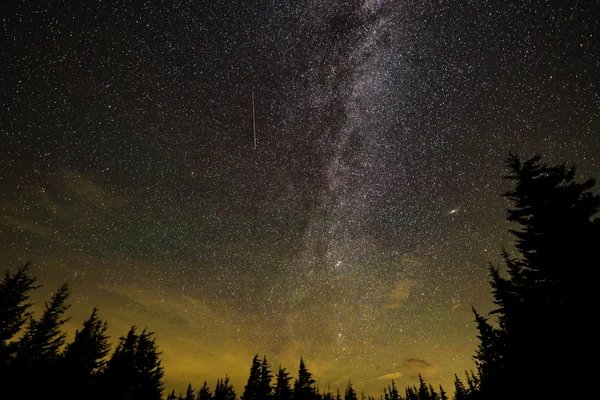 Perseid Meteor Shower