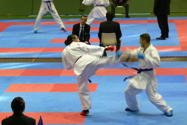 Karate fighting