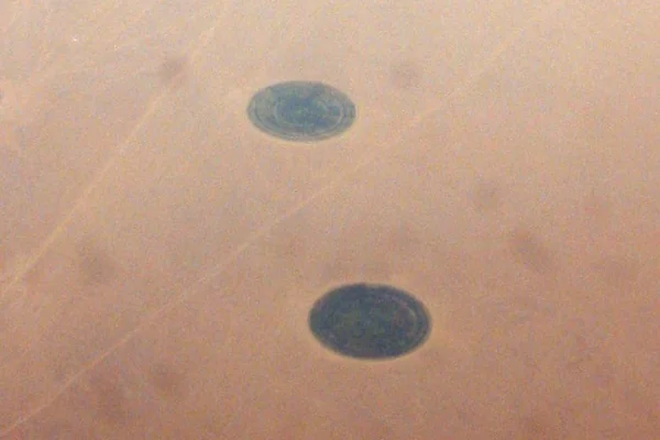 Pivot irrigation in the Libyan desert