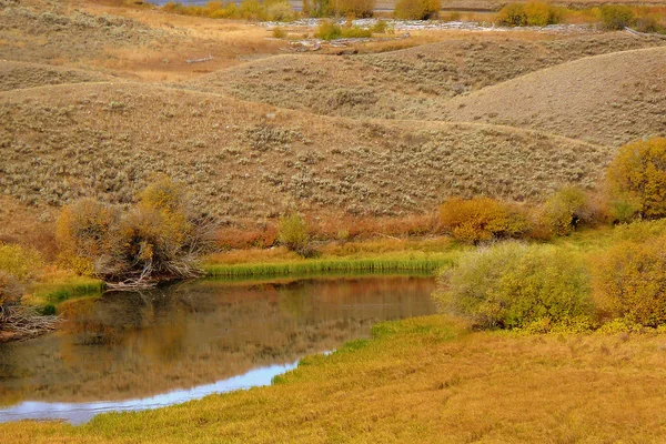 Scanning the Landscape for the Wolf Pack Kill