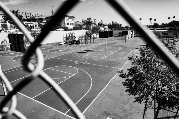Basketbol 2