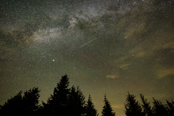 Perseid Meteor Shower