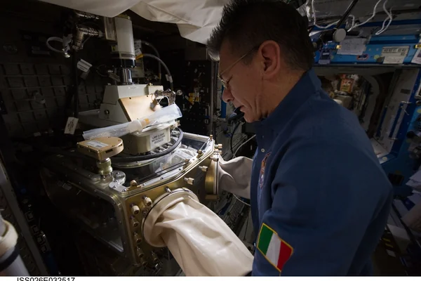 Nespoli works with the LMM
