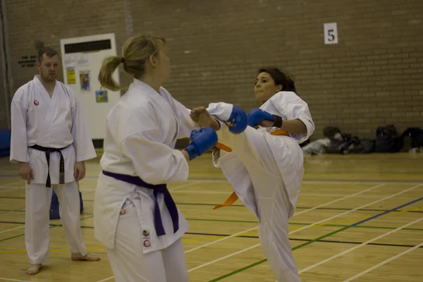 Swansea University Karate Club (9)