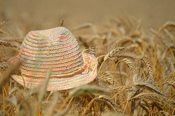 Dağ Manzarası