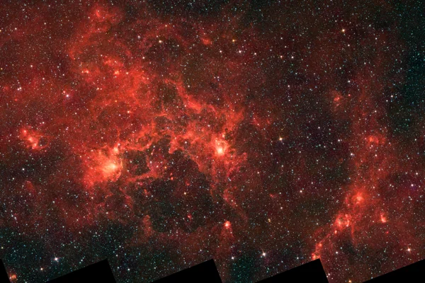 Dragonfish Coming At You in Infrared