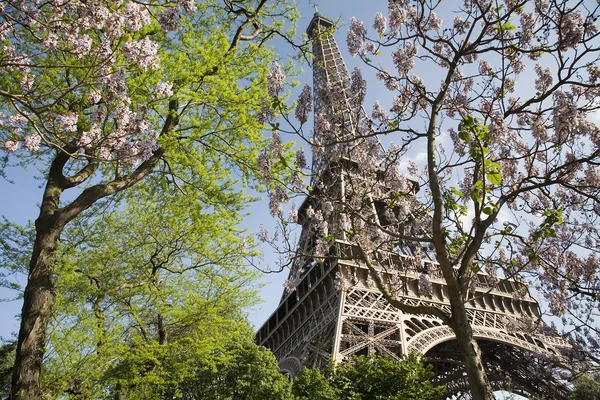 Paris 5