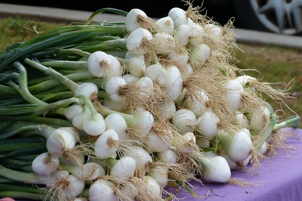 Upcountry Kula Farmers Market Produce Sue Salisbury Maui Hawaii