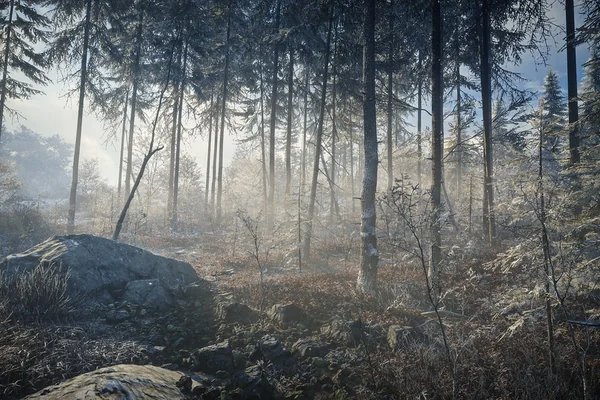 TheHunter: Call of the Wild / Misty Forest