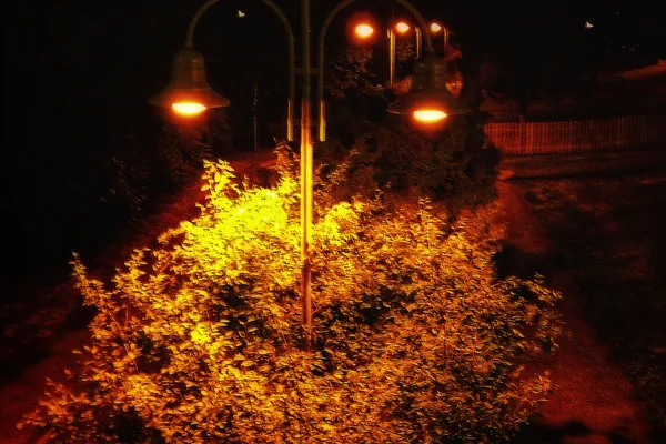 Sokak Fotoğrafçılığı