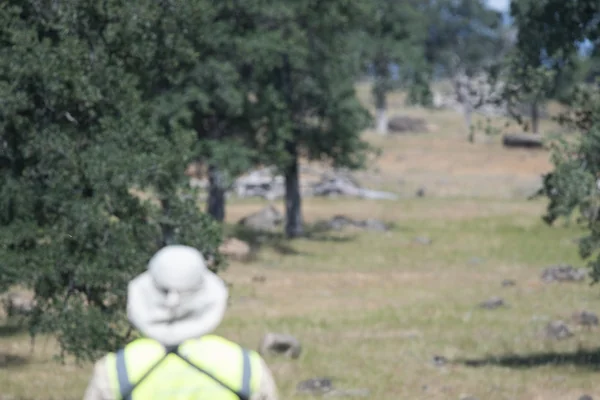 STEReO Field Testing