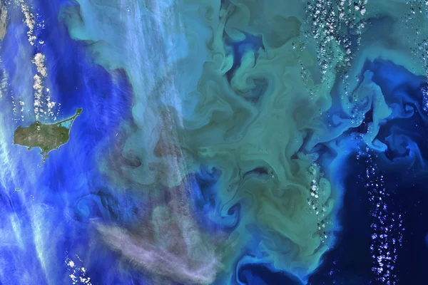 Coloring the Sea Around the Pribilof Islands