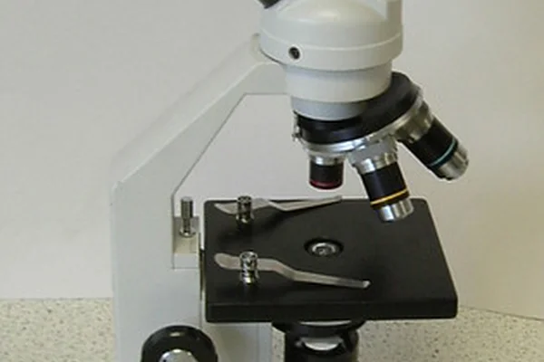 Microscope