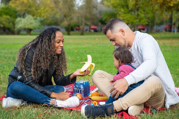 Aile Pikniği