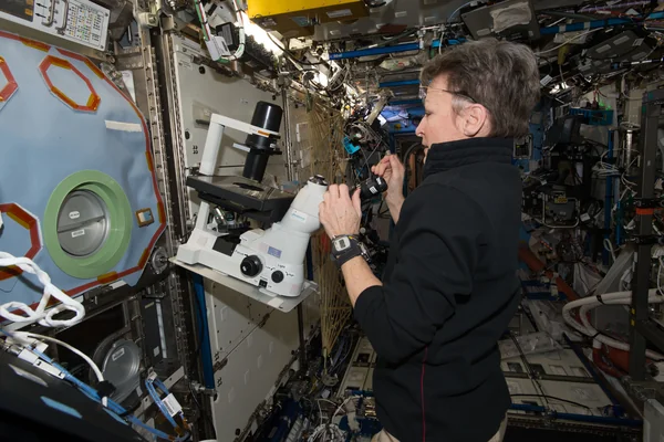 MESC Payload Setup
