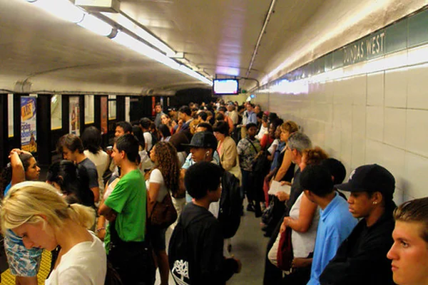 Crowd