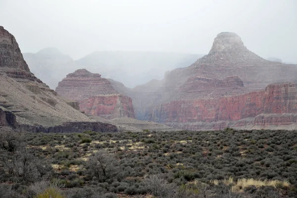 Grand Canyon National Park: Winter Fog From Tonto Platform 2169