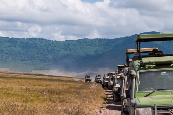 Afrika Safari