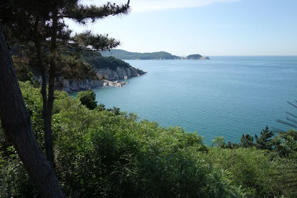 Doğa Manzarası