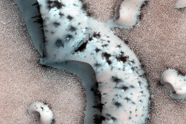 Shapes and Spots on a Polar Sand Dune