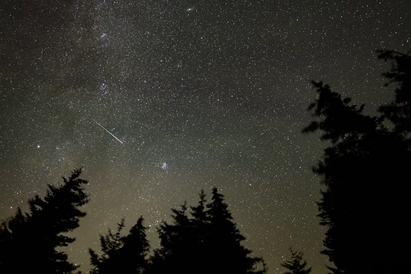 Perseid Meteor Shower