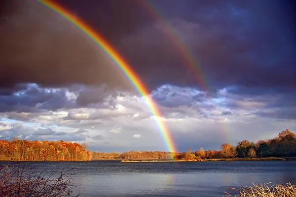 Double Bows