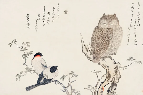 Mimizuku Uso by Utamaro Kitagawa (1753-1806), a traditional Japanese ukiyo-e style illustration of bullfinch and horned owl birds and a Japanese poem written on both sides of the pages. Digitally enhanced from our own original edition.