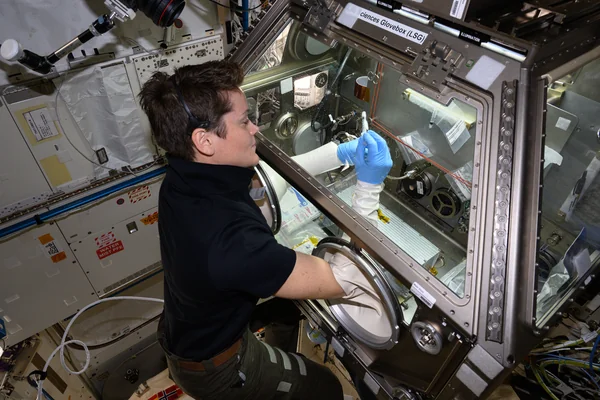 NASA astronaut Anne McClain processes bacteria samples
