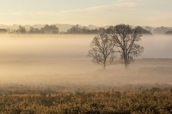 Autumn Mist No.2