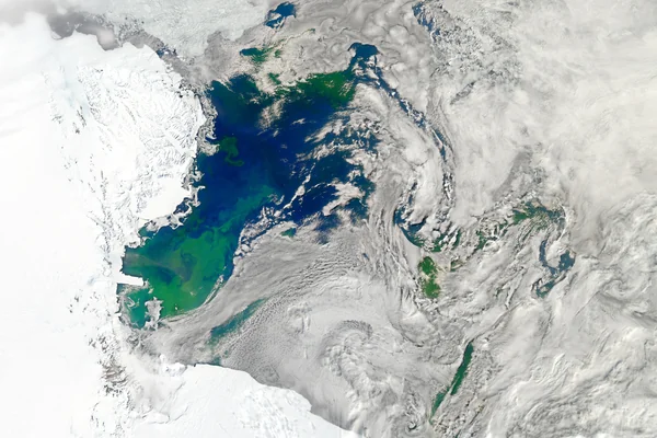Bloom in the Ross Sea