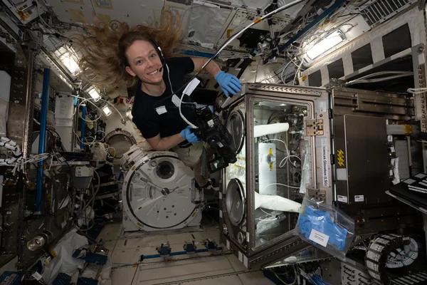 NASA astronaut Nichole Ayers tests imaging operations of a 3D research microscope