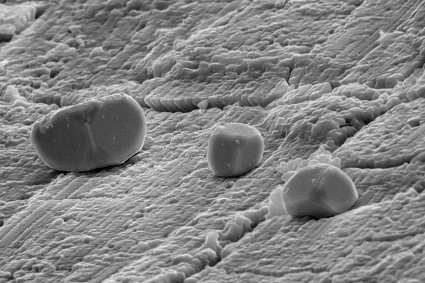 PHOTOMICROPHOTOGRAPHY- GEOLOGY ( SEM)