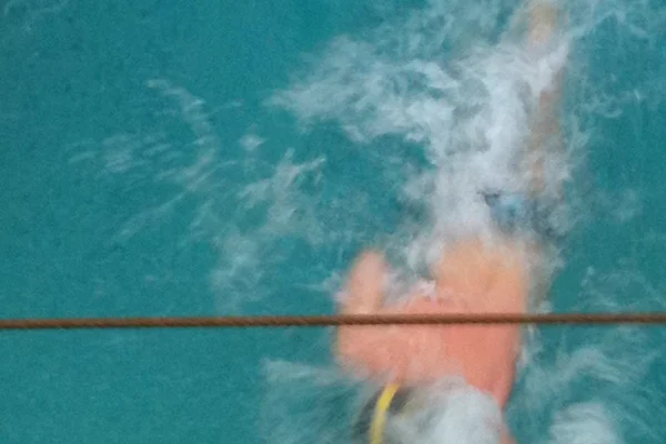 Valentines gay swimming competition in Amsterdam 3