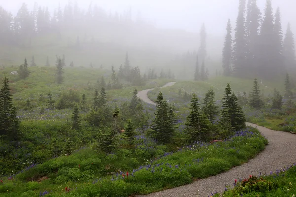 Foggy Wildflowers on Mt. Rainier, (1 of 3)