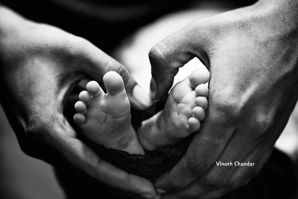 MOTHERS LOVE