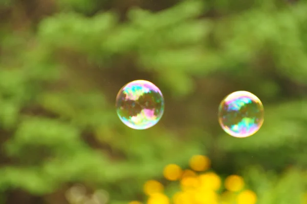 Bulles de savon - Soap bubbles