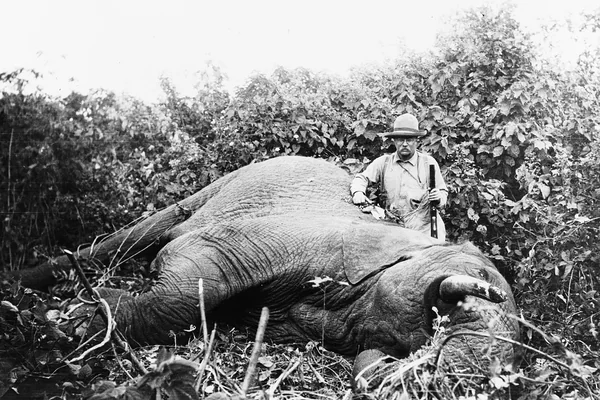 Afrika Safari 4