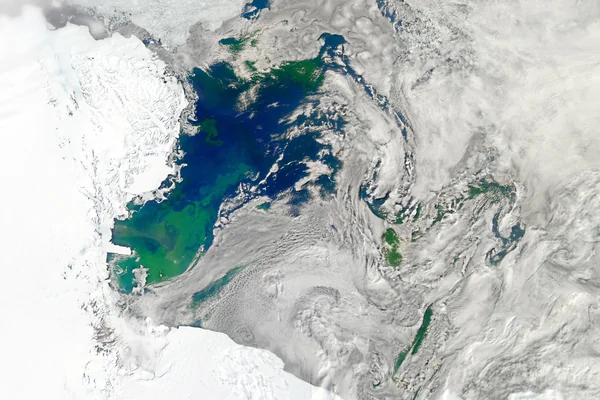 Bloom in the Ross Sea