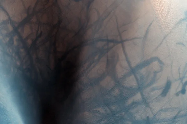 Dust Devil Tracks and Slope Streaks on Martian Sand Dunes