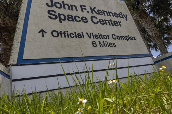 Wildflowers at KSC