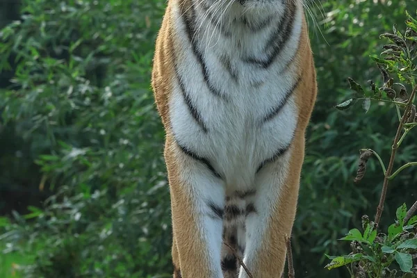 Kanyon Manzarası 5