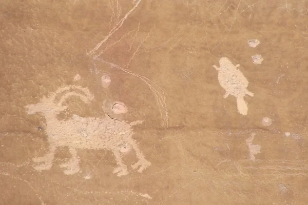 Sego Canyon rock art and gunshots