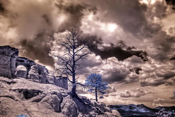 Infrared HDR Pulpit Rock Park Colorado Springs