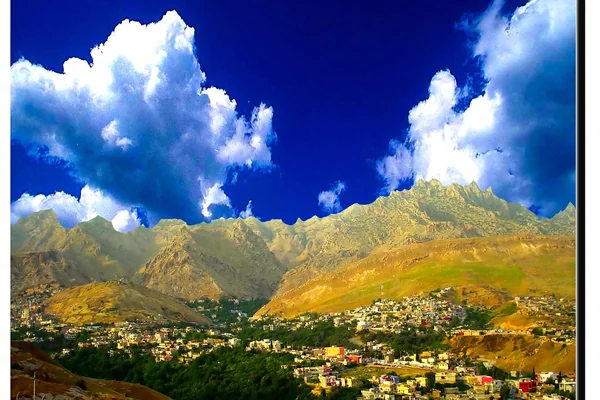 Kurdistan Akre, Flowers, Nature, Landscape