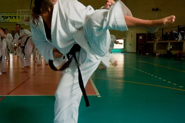 Karate Summer Camp 2012-005