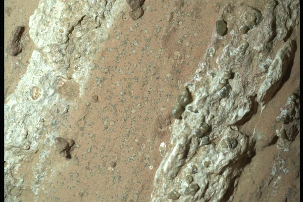Perseverance Finds a Rock With 'Leopard Spots'