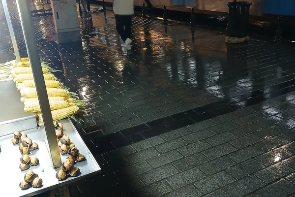 Yağmurlu Gece