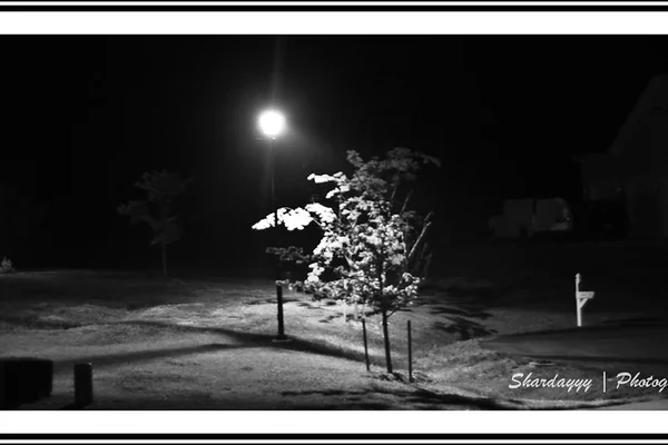 249/365 - 06/4/10 [365 Days @ 50mm] - Night Street Light