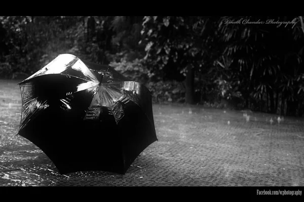 Its a rainy day..