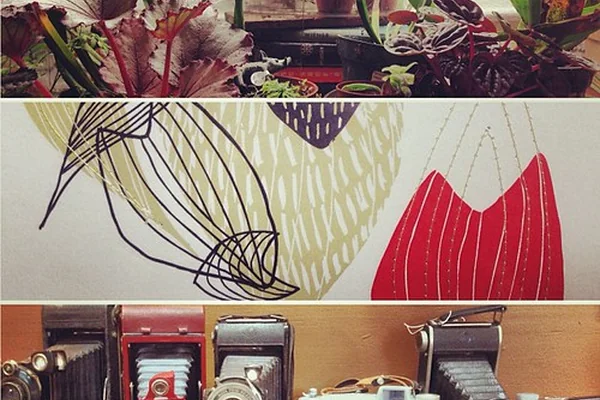 OPEN UNTIL 10PM TONIGHT!!! Join us for some after-hours terrarium-making, cocktail-drinking, nibbles-nibblin', sale-shopping fun!!!
